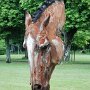 IMG_20251002_064709