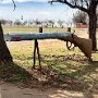 IMG_20251002_064810