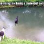 IMG_20251003_064716