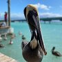 IMG_20251003_064828