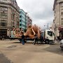IMG_20251003_064948