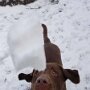IMG_20251004_070746