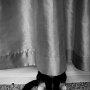 IMG_20251004_070901