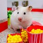 IMG_20251005_064347