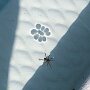 IMG_20251005_064503