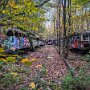 IMG_20251006_065907