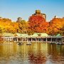 IMG_20251007_064538