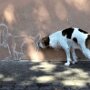 IMG_20251007_064808