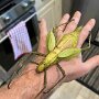 IMG_20251008_070941