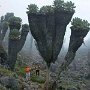 IMG_20251008_071048