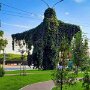 IMG_20251009_063926