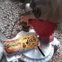 IMG_20251009_064002