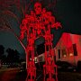 IMG_20251009_064021