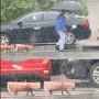 IMG_20251009_064206