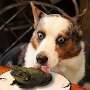 IMG_20251010_065343