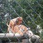 IMG_20251011_092444