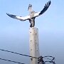 IMG_20250129_073207