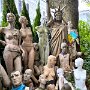 IMG_20250217_090829
