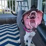 IMG_20250401_072731