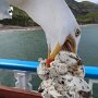 IMG_20250402_072512