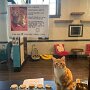 IMG_20250403_072759