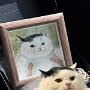 IMG_20250404_072435
