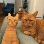 IMG_20250404_072600