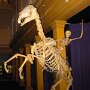 IMG_20250405_070827