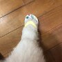IMG_20250408_072439