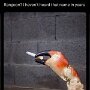 IMG_20250408_072532