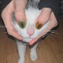 IMG_20250410_072626