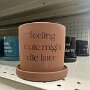 IMG_20250410_072752