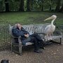 IMG_20250411_072255