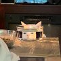 IMG_20250412_075201