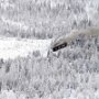 IMG_20250413_085539
