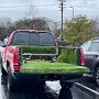 IMG_20250413_085652