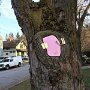 IMG_20250413_085702