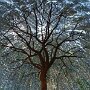 IMG_20250413_085734