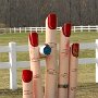 IMG_20250414_074614