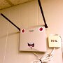 IMG_20250414_074918
