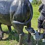 IMG_20250415_072755