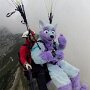 IMG_20250416_072519