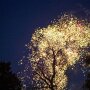 IMG_20250416_072544