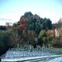 IMG_20250416_072635