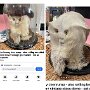 IMG_20250417_072758