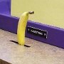 IMG_20250418_073852