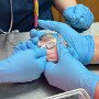 IMG_20250419_080917