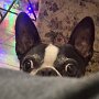 IMG_20250419_081037
