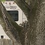 IMG_20250422_072545