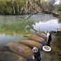 IMG_20250423_073030